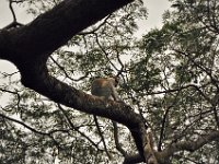 2012097640 Blue Nile Falls & Lake Tana - Ethioipia - Oct 05