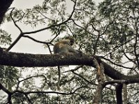 2012097641 Blue Nile Falls & Lake Tana - Ethioipia - Oct 05