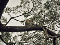 2012097642 Blue Nile Falls & Lake Tana - Ethioipia - Oct 05