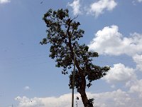 2012097658 Blue Nile Falls & Lake Tana - Ethioipia - Oct 05