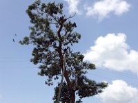 2012097660 Blue Nile Falls & Lake Tana - Ethioipia - Oct 05