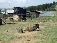 2012095774 Debre Berhan -Ethioipia - Sep 28