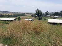 2012095829 Debre Berhan -Ethioipia - Sep 28