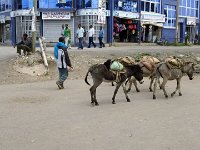 2012095871 Debre Berhan -Ethioipia - Sep 28