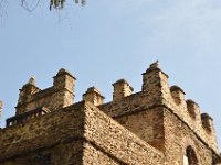 2012097333 Fasilidas Pool - Gondar Ethiopia - Oct 03