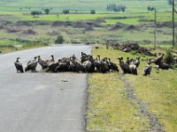 2012097364 Barhar Dar - Ethioipia - Oct 03