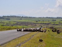 2012097366 Barhar Dar - Ethioipia - Oct 03