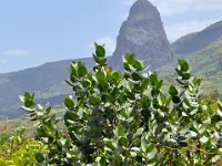 2012097403 Barhar Dar - Ethioipia - Oct 03