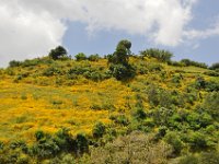 2012097422 Barhar Dar - Ethioipia - Oct 03