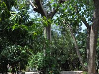 2012097461 Barhar Dar - Ethioipia - Oct 03