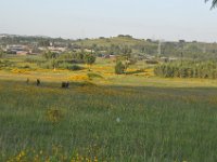 2012097492 Barhar Dar - Ethioipia - Oct 03