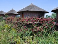 2012096130A Tukul Village Hotel - Lalibela - Ethiopia - Sep 29