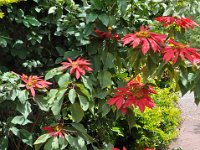 2012096562 Lalibella -Ethioipia - Sep 30