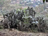 2012096700 Lalibella -Ethioipia - Sep 30