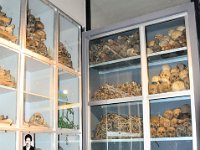 2012097698 Red Terror Museum - Addis Ababa - Ethioipia - Oct 06