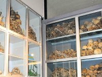 2012097698A Red Terror Museum - Addis Ababa - Ethioipia - Oct 06