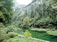 2005072397 Fontaine de Vaucluse-Provence-France