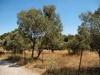 2005072328 Glanum Ruins-Provence-France