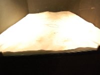 2008062696  Betty-Darrel-Yvette-Felicia-Suzette-Adara Paris France