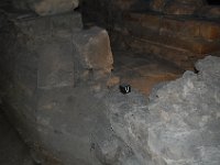 2008062721  Betty-Darrel-Yvette-Felicia-Suzette-Adara Paris France