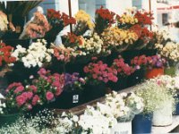 1990072831 Gilbraltar (July 30)