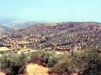 1991001286 Darrel-Betty-Darla Hagberg - Greece Vacation