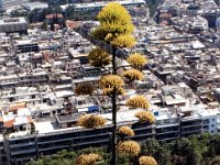1991001245 Darrel-Betty-Darla Hagberg - Greece Vacation