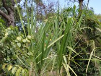 2011024758 Antigua - Guatemala