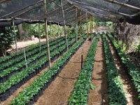 2011024763 Antigua - Guatemala