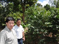 2011024766 Antigua - Guatemala