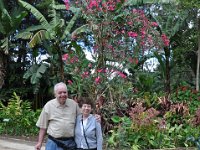 2011024786 Antigua - Guatemala