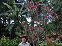 2011024787 Antigua - Guatemala