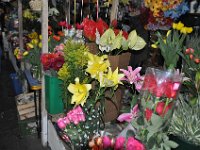 2011023063 Antiqua - Guatemala