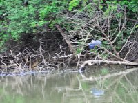 2011023334 Aquateca - Guatemala