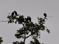 2011023340 Aquateca - Guatemala