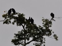 2011023341 Aquateca - Guatemala