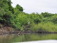 2011023347 Aquateca - Guatemala