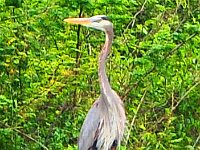 2011023348 Aquateca - Guatemala