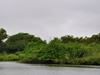 2011023350 Aquateca - Guatemala