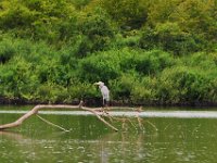 2011023351 Aquateca - Guatemala