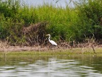 2011023355 Aquateca - Guatemala