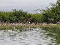 2011023356 Aquateca - Guatemala