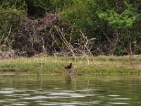 2011023358 Aquateca - Guatemala