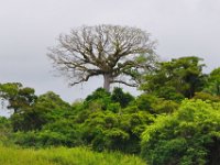 2011023366 Aquateca - Guatemala