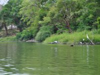 2011023370 Aquateca - Guatemala