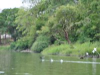 2011023371 Aquateca - Guatemala