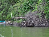 2011023373 Aquateca - Guatemala