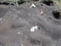 2011023429 Aquateca - Guatemala