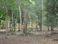 2011023486 Aquateca - Guatemala