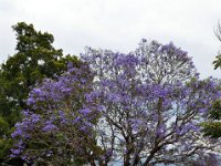 Atitlan, Guatemala (February 18, 2011)
